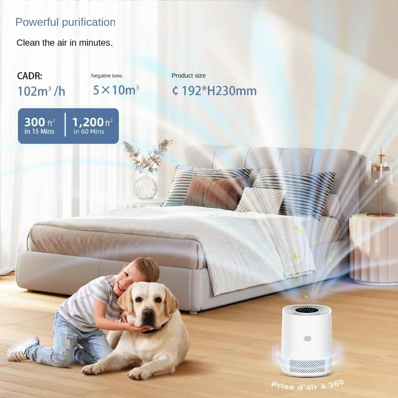 Smart Home Air Purifier with A - đánh giá và giá Smart Home Controller